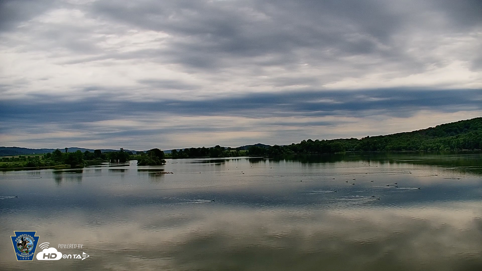 Snapshot of Pennsylvania Snow Geese Live Webcam taken Jun 22, 2026, 7:52am EDT