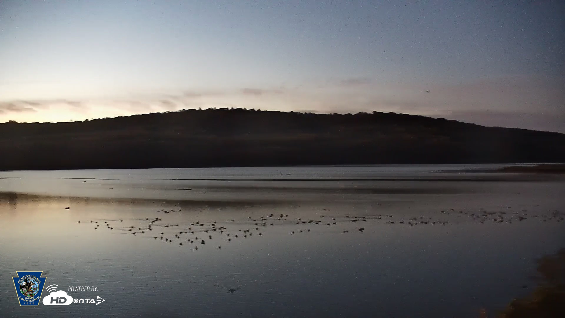 Snapshot of Pennsylvania Snow Geese Live Webcam taken Oct 27, 2025, 6:57am EDT