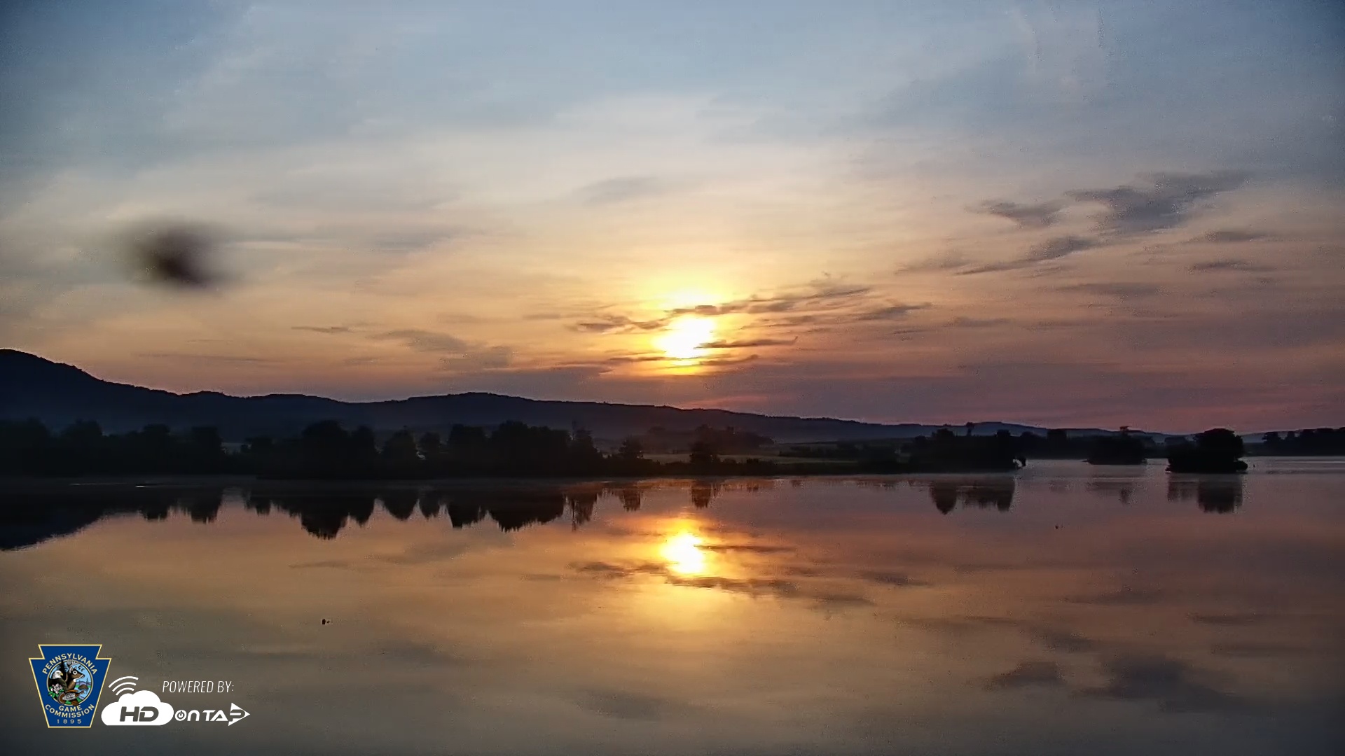 Snapshot of Pennsylvania Snow Geese Live Webcam taken Jul 5, 2025, 6:12am EDT