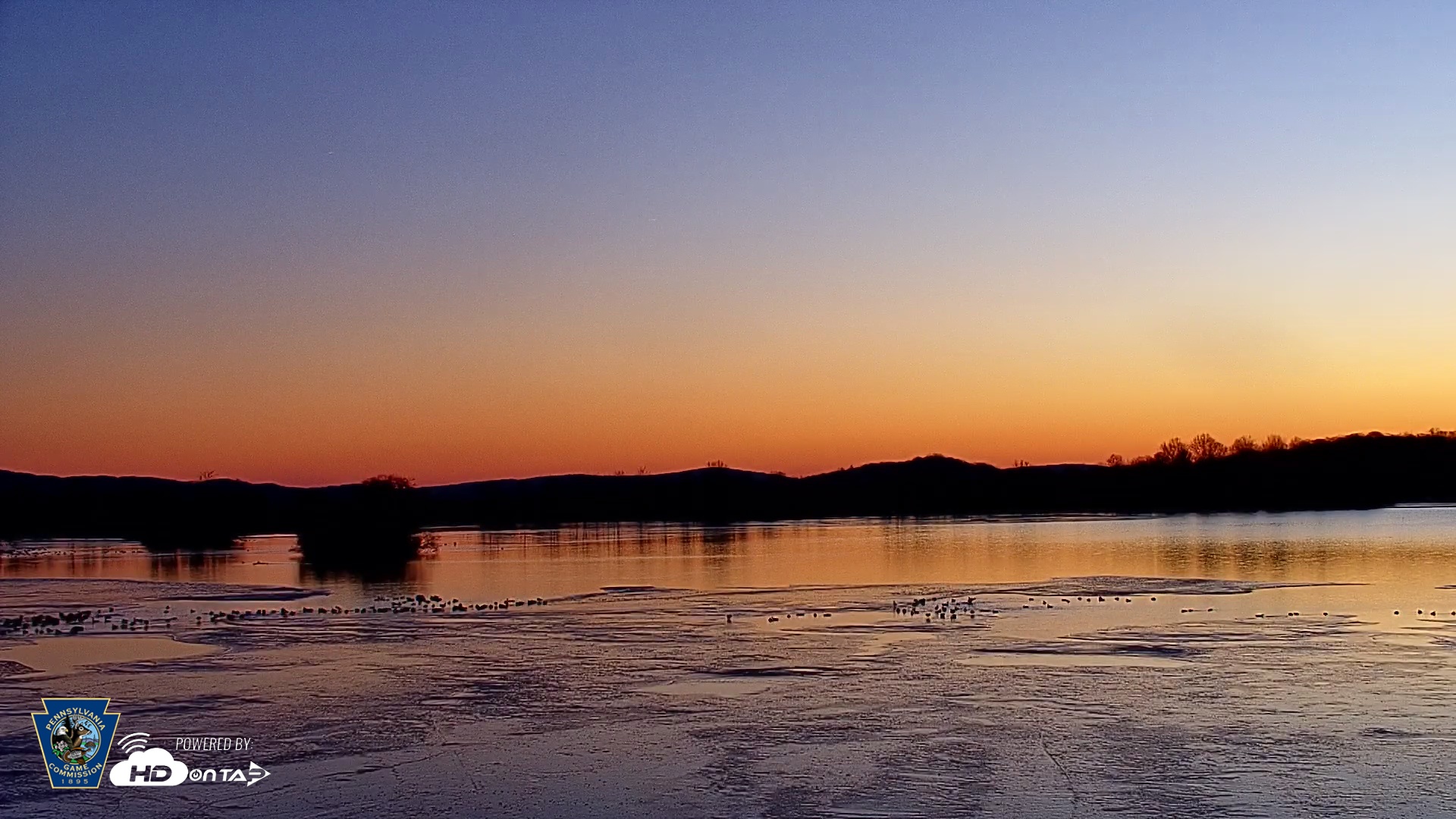 Snapshot of Pennsylvania Snow Geese Live Webcam taken Dec 22, 2025, 7:14am EST