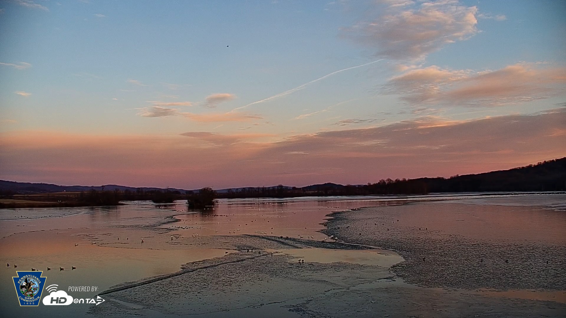 Snapshot of Pennsylvania Snow Geese Live Webcam taken Feb 23, 2025, 5:43pm EST