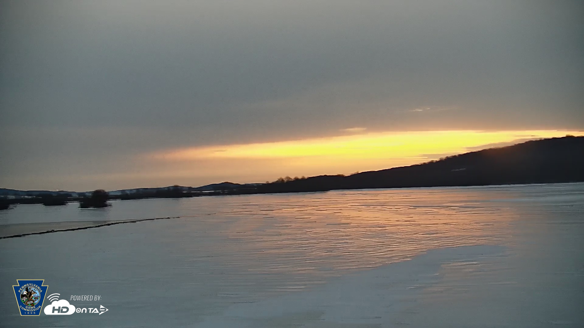 Snapshot of Pennsylvania Snow Geese Live Webcam taken Feb 10, 2026, 6:46am EST