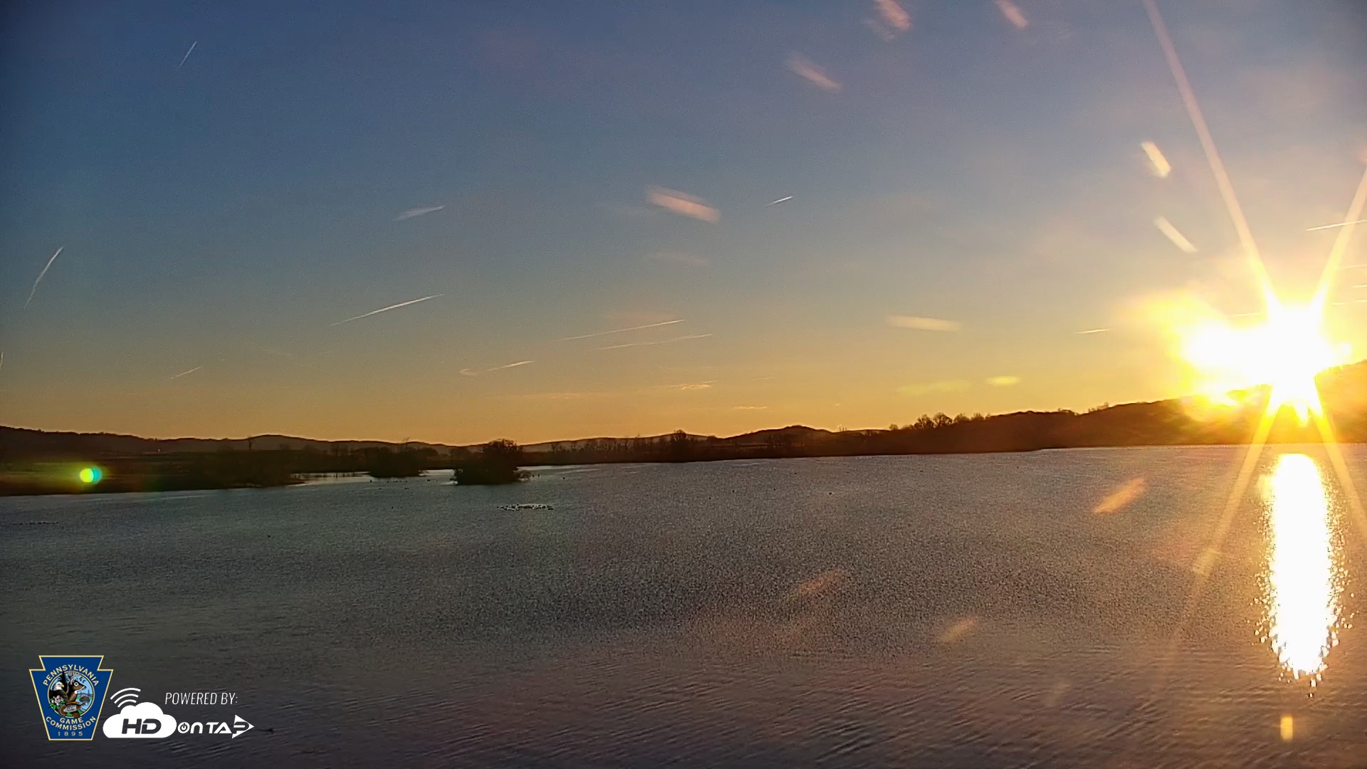 Snapshot of Pennsylvania Snow Geese Live Webcam taken Nov 24, 2025, 7:23am EST