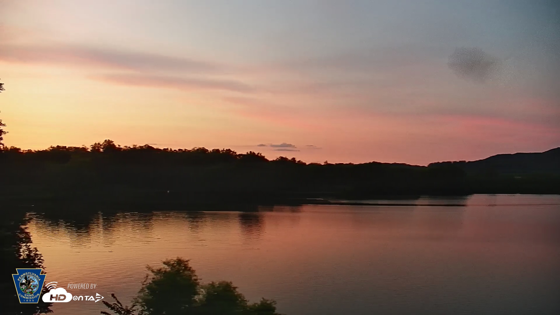 Snapshot of Pennsylvania Snow Geese Live Webcam taken Jul 17, 2025, 8:48pm EDT