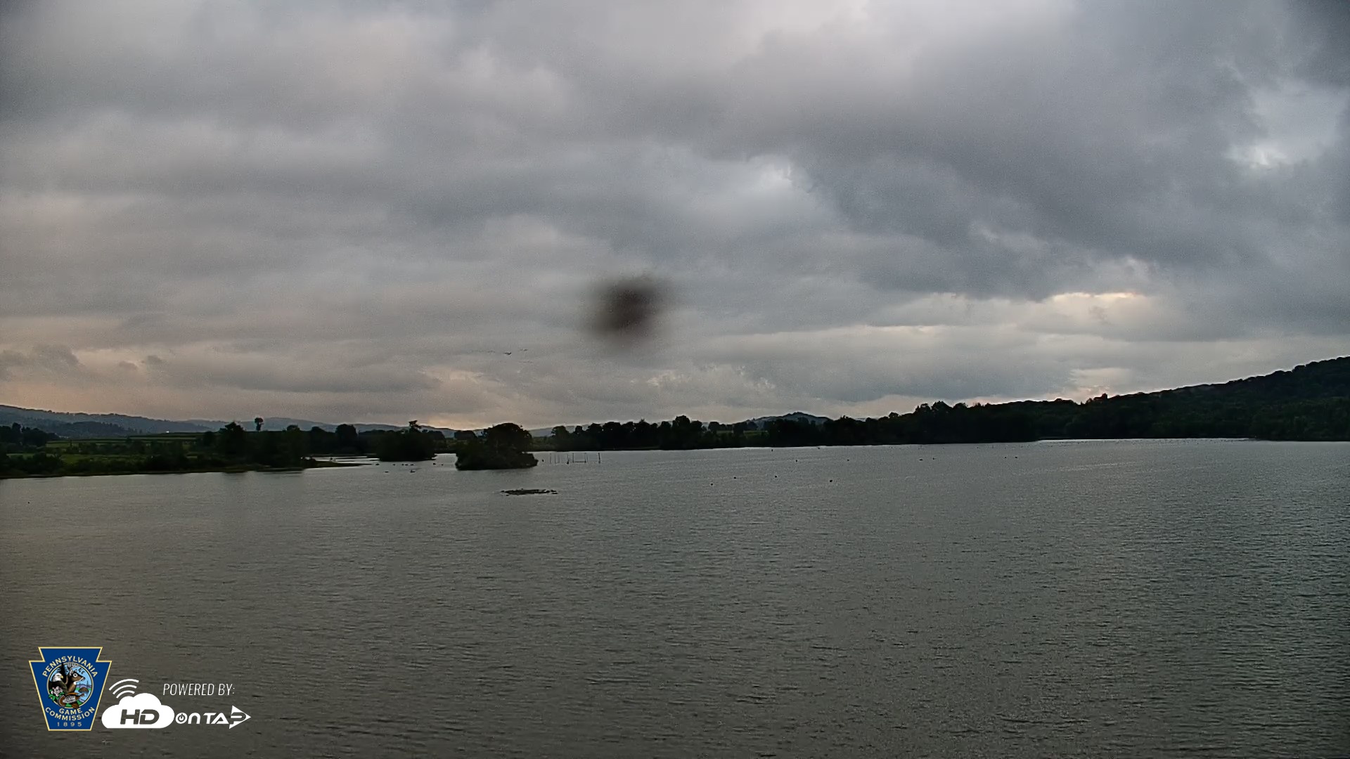 Snapshot of Pennsylvania Snow Geese Live Webcam taken Sep 2, 2026, 6:42pm EDT