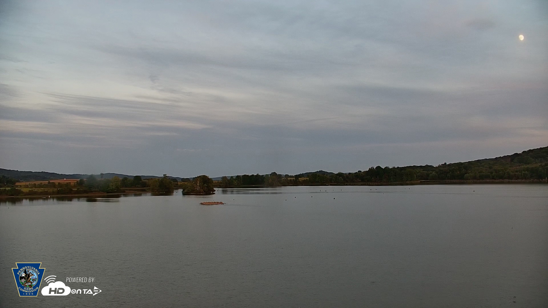Snapshot of Pennsylvania Snow Geese Live Webcam taken Sep 23, 2026, 7:02pm EDT