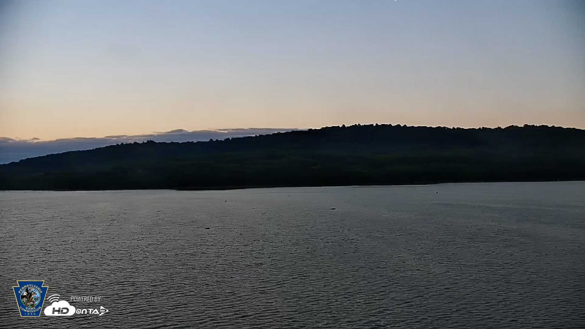 Snapshot of Pennsylvania Snow Geese Live Webcam taken Aug 22, 2026, 7:32pm EDT