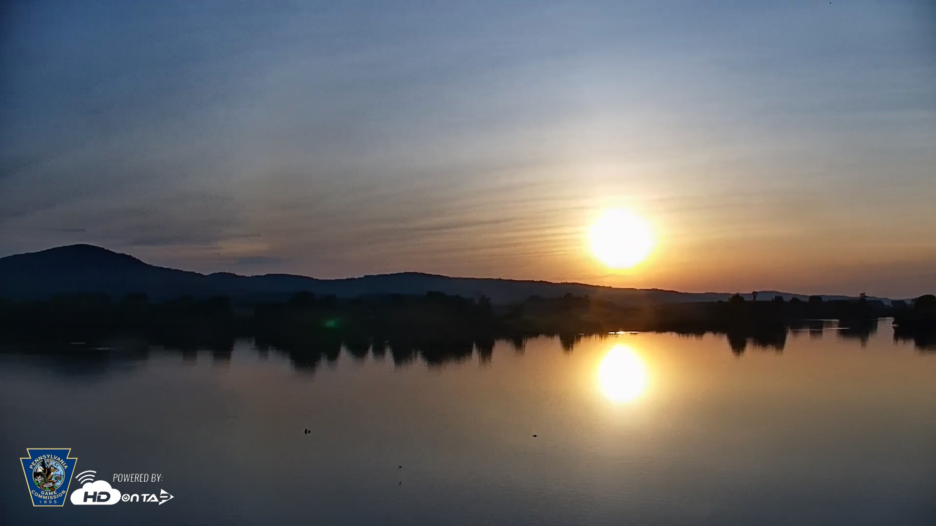 Snapshot of Pennsylvania Snow Geese Live Webcam taken May 17, 2026, 6:14am EDT