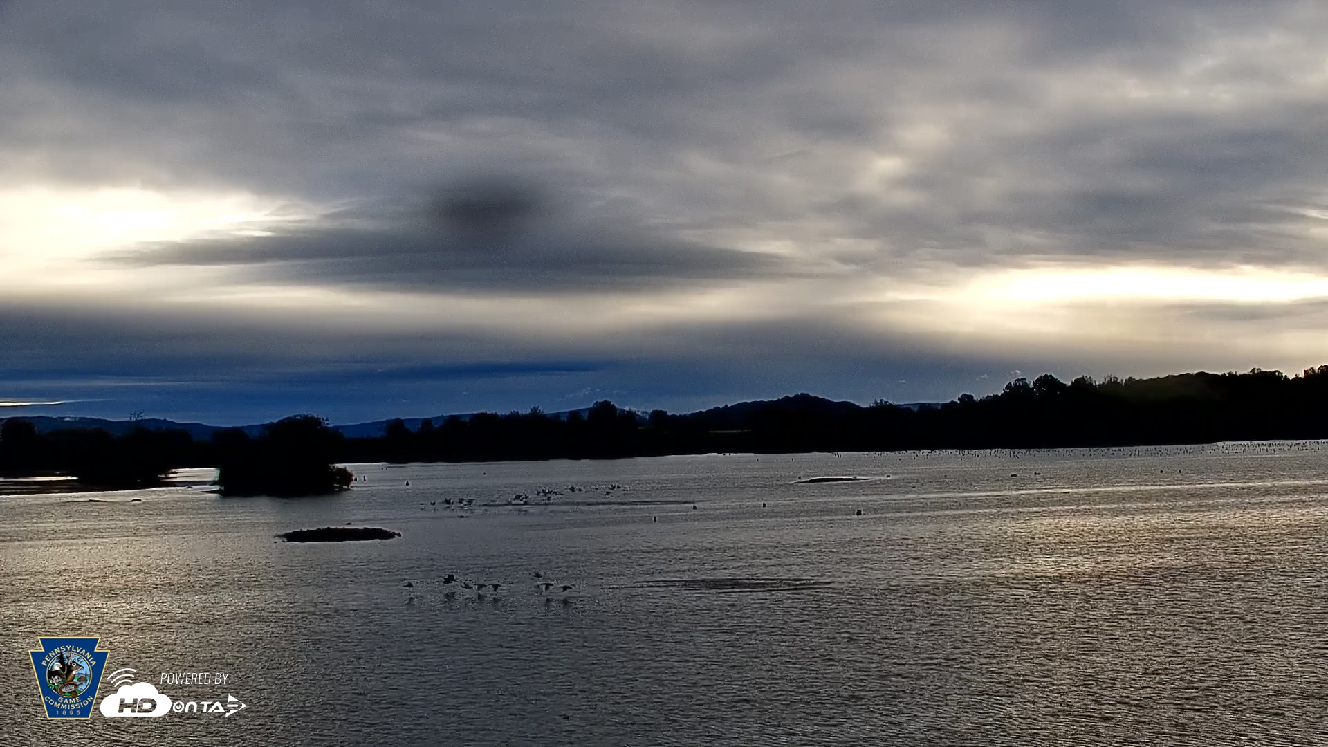 Snapshot of Pennsylvania Snow Geese Live Webcam taken Oct 14, 2025, 8:11am EDT