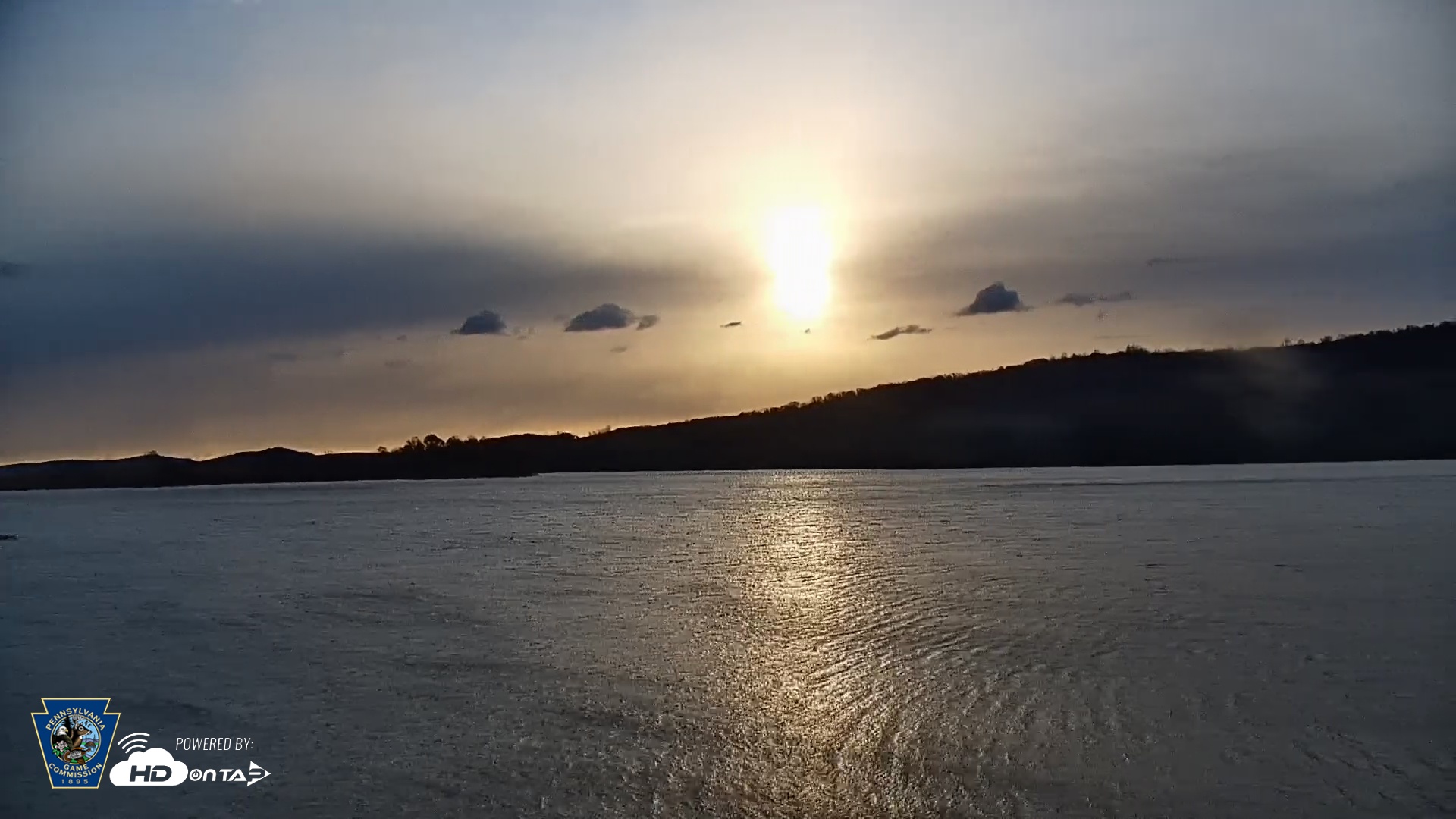 Snapshot of Pennsylvania Snow Geese Live Webcam taken Nov 11, 2025, 7:32am EST