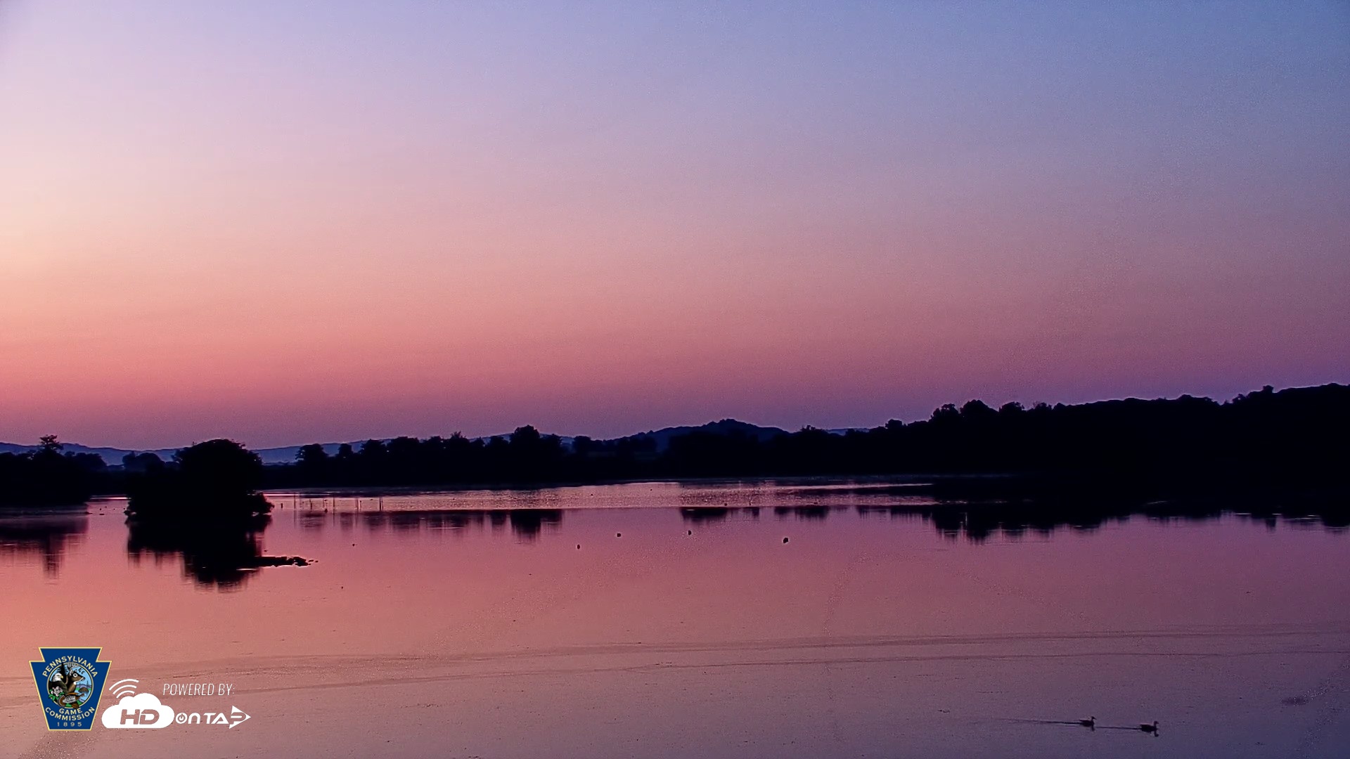Snapshot of Pennsylvania Snow Geese Live Webcam taken Jul 14, 2026, 5:24am EDT