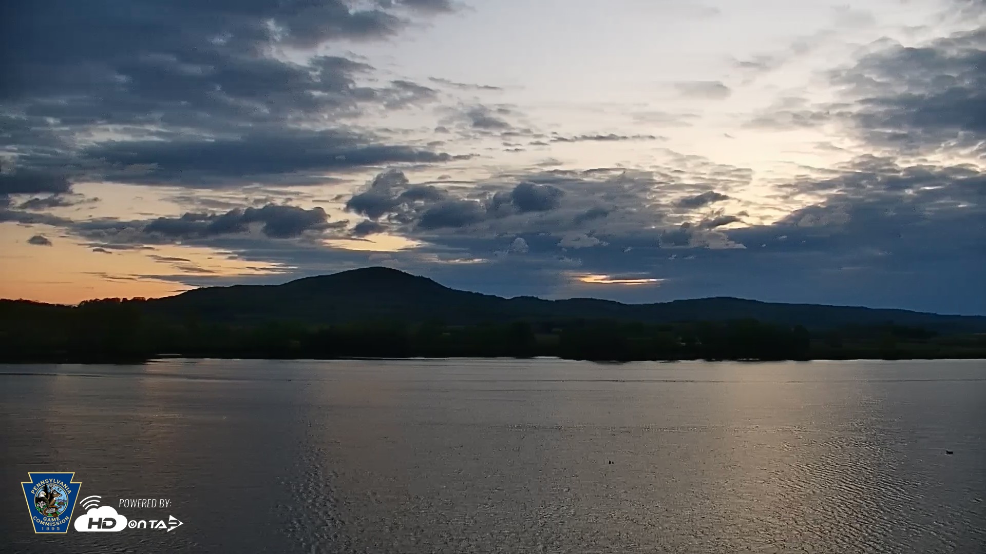Snapshot of Pennsylvania Snow Geese Live Webcam taken May 3, 2026, 6:03am EDT
