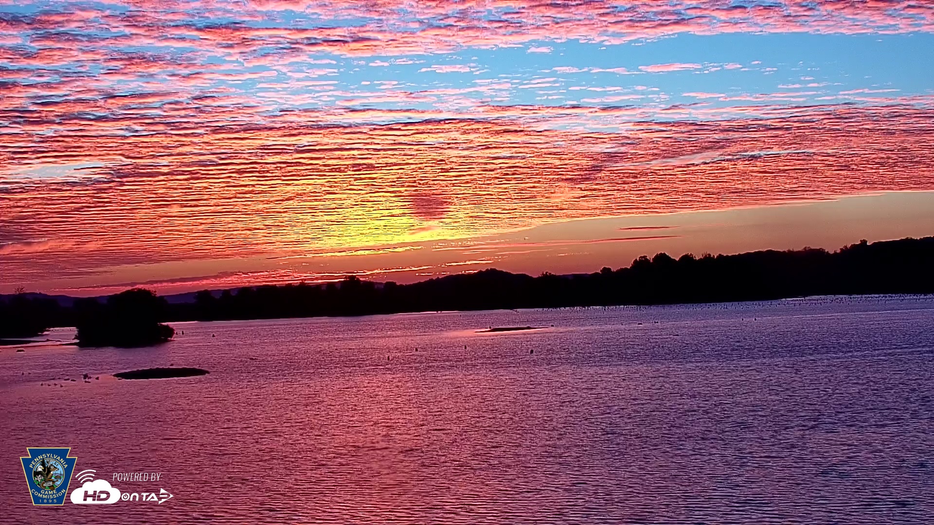 Snapshot of Pennsylvania Snow Geese Live Webcam taken Oct 7, 2025, 7:00am EDT