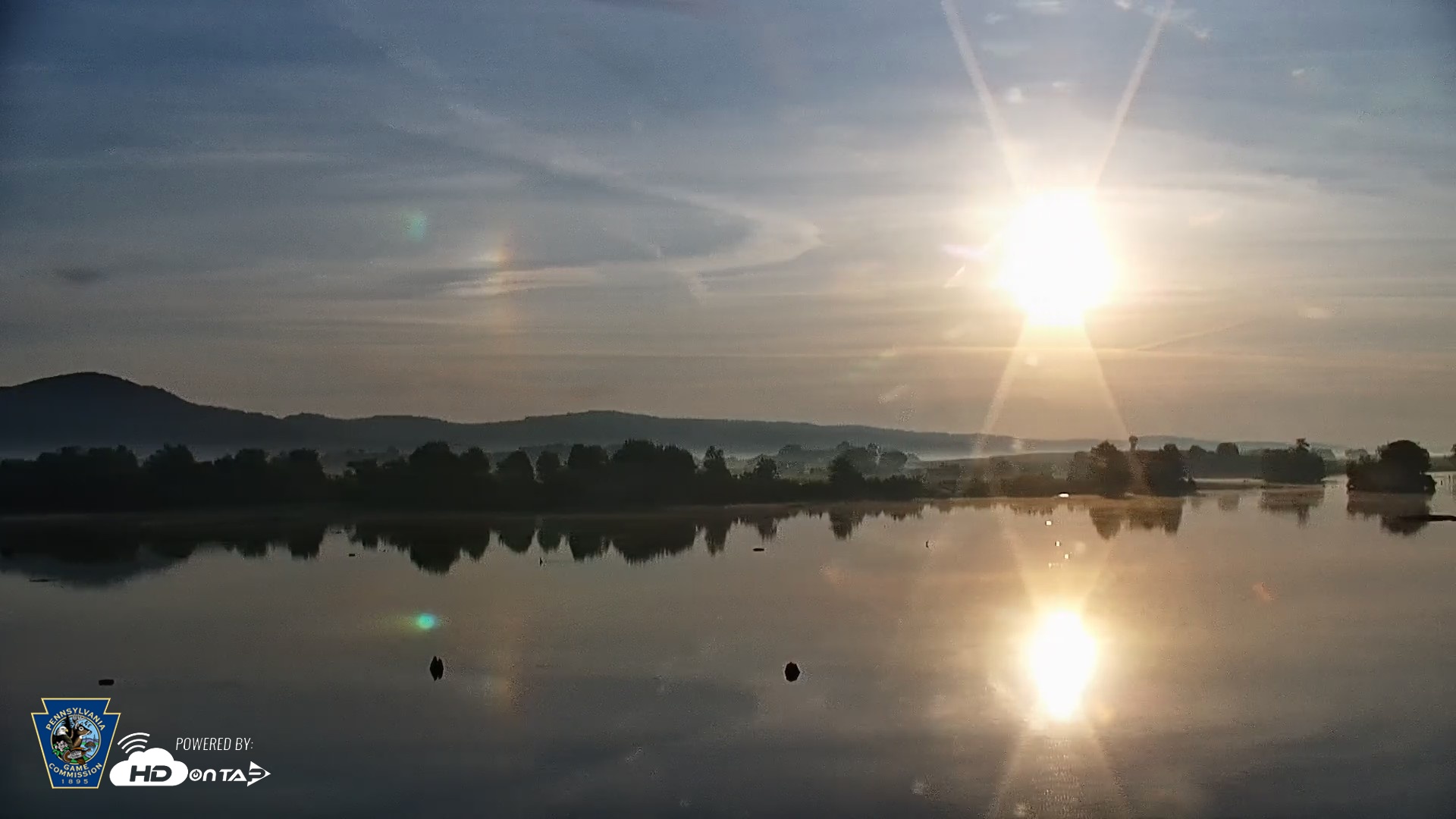 Snapshot of Pennsylvania Snow Geese Live Webcam taken Aug 1, 2026, 6:50am EDT
