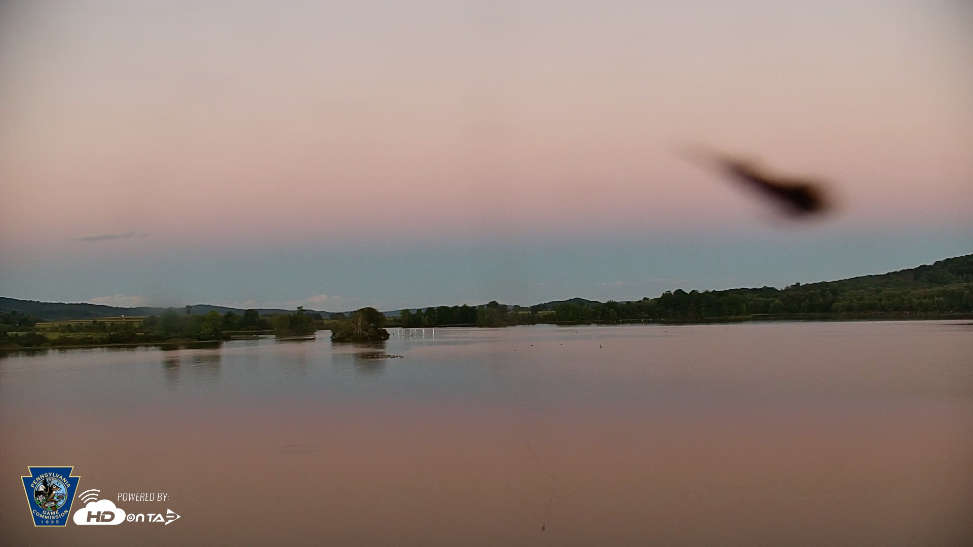 Snapshot of Pennsylvania Snow Geese Live Webcam taken Sep 6, 2026, 7:40pm EDT