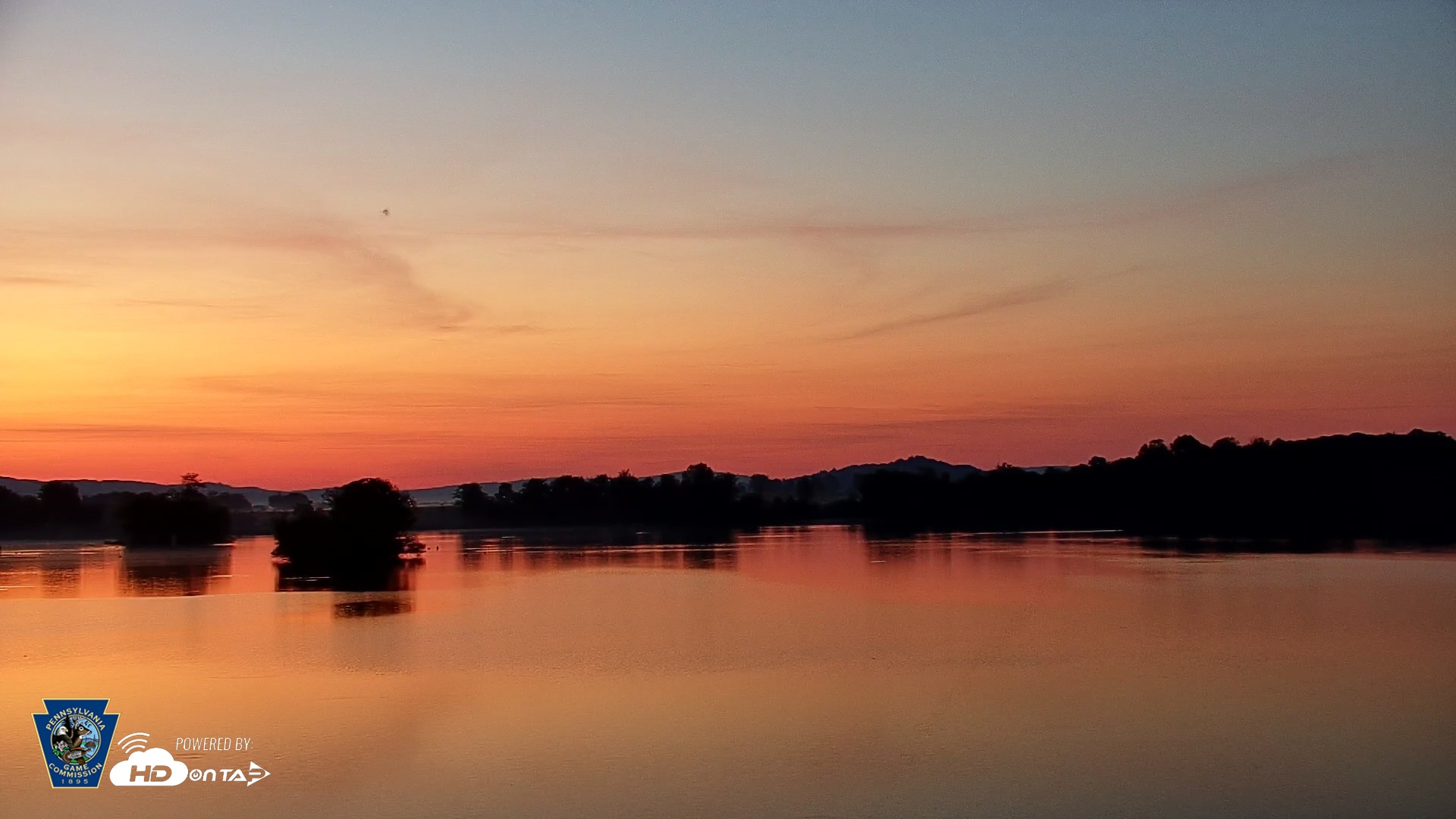 Snapshot of Pennsylvania Snow Geese Live Webcam taken May 18, 2026, 5:19am EDT