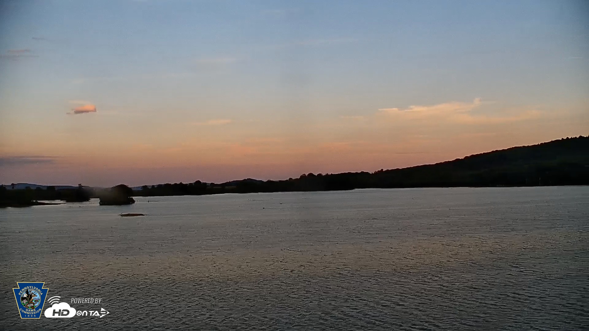 Snapshot of Pennsylvania Snow Geese Live Webcam taken Sep 9, 2026, 7:08pm EDT