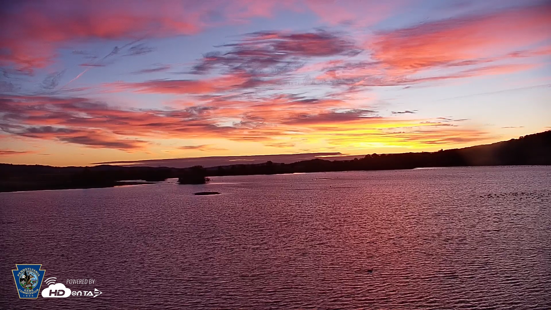 Snapshot of Pennsylvania Snow Geese Live Webcam taken Oct 29, 2025, 7:21am EDT