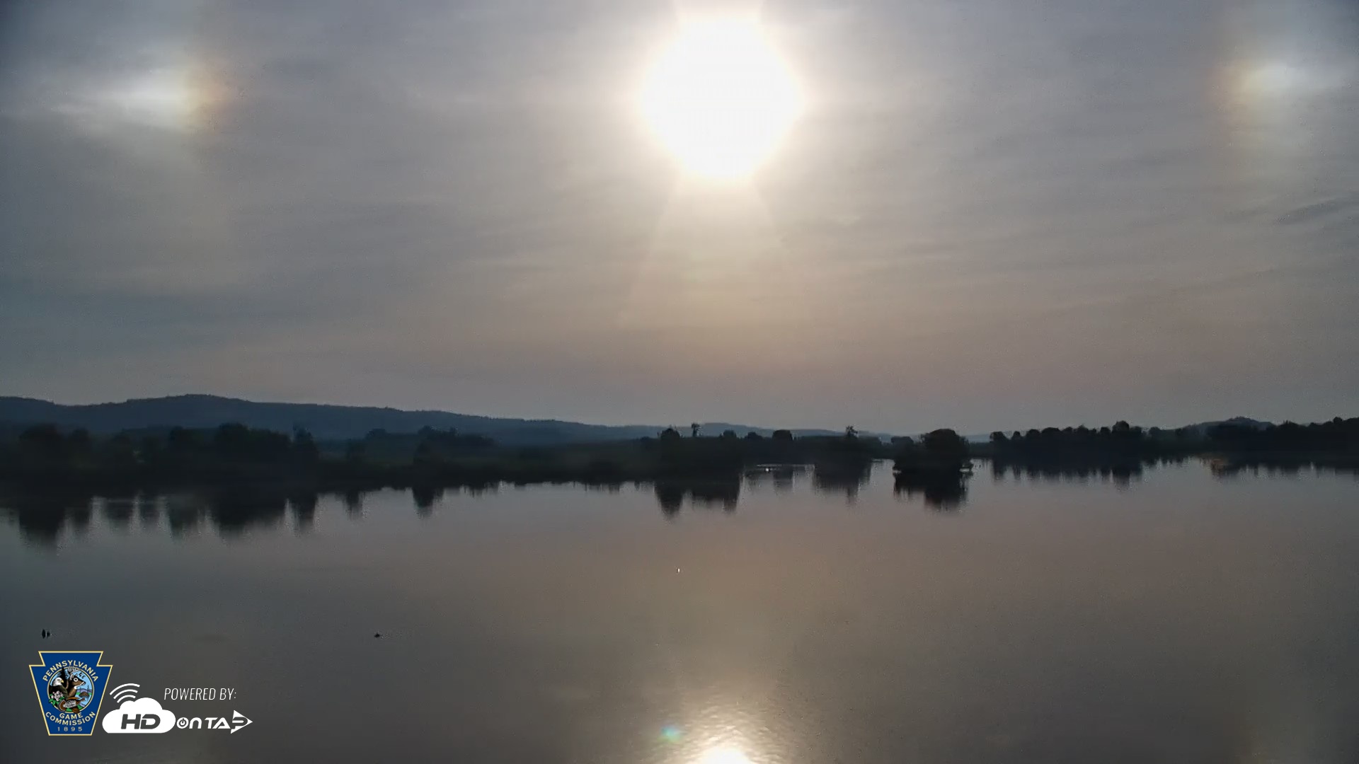 Snapshot of Pennsylvania Snow Geese Live Webcam taken May 17, 2026, 7:15am EDT