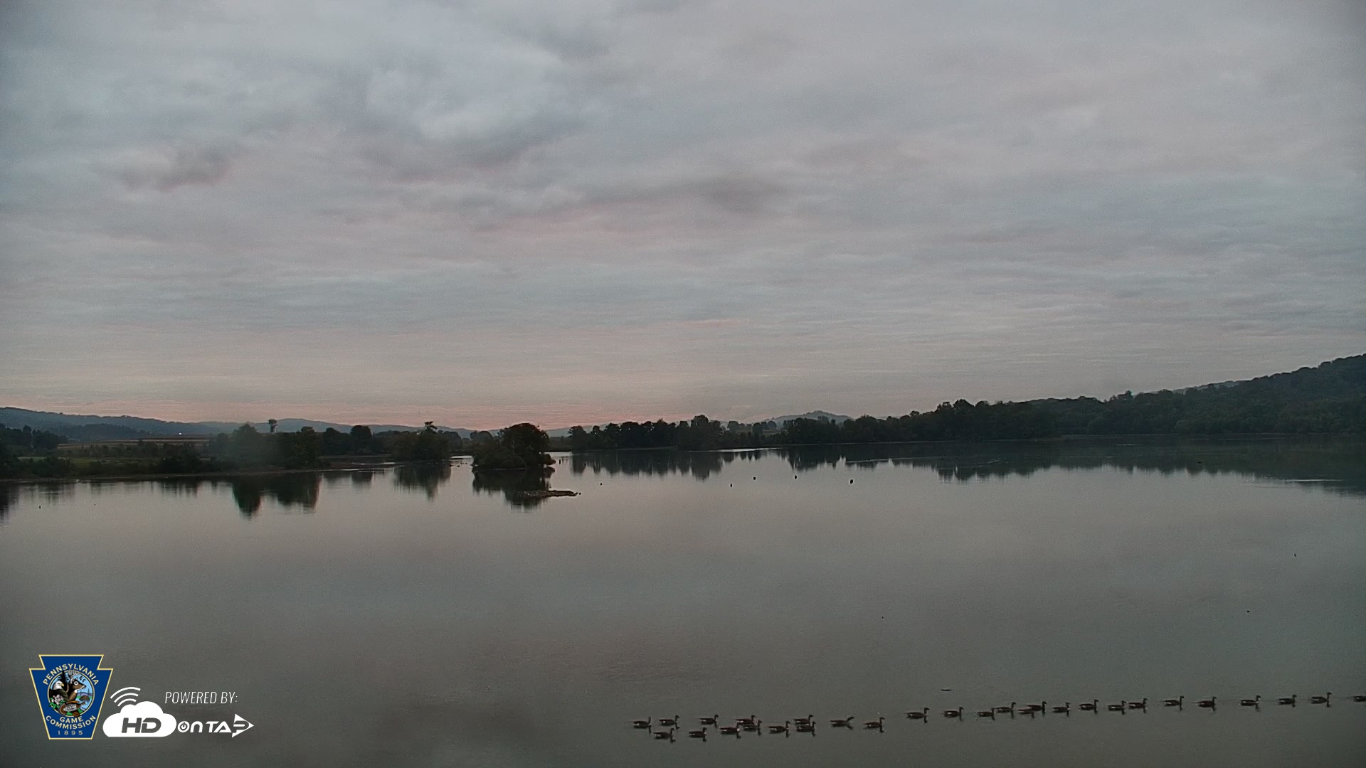 Snapshot of Pennsylvania Snow Geese Live Webcam taken Sep 30, 2026, 7:05am EDT