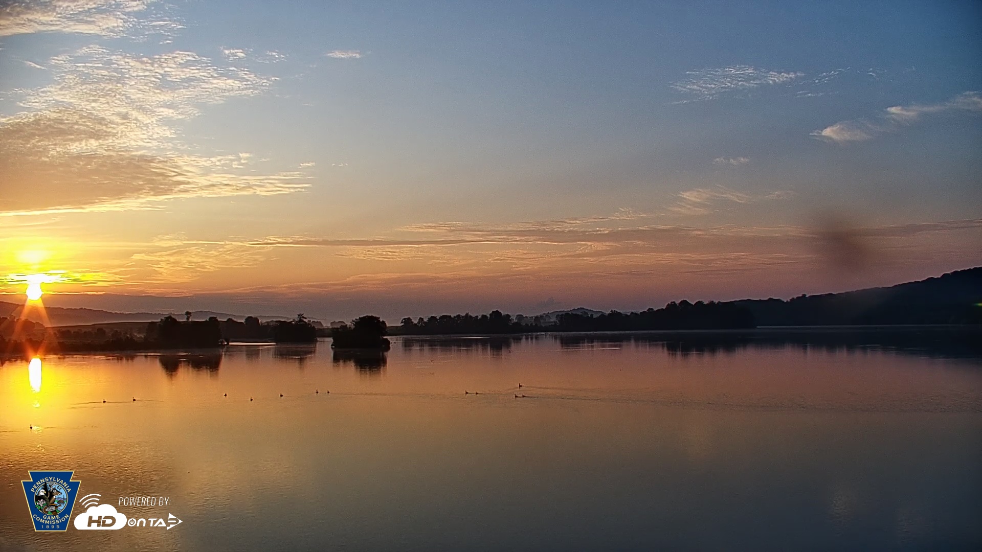 Snapshot of Pennsylvania Snow Geese Live Webcam taken Jul 29, 2025, 6:15am EDT