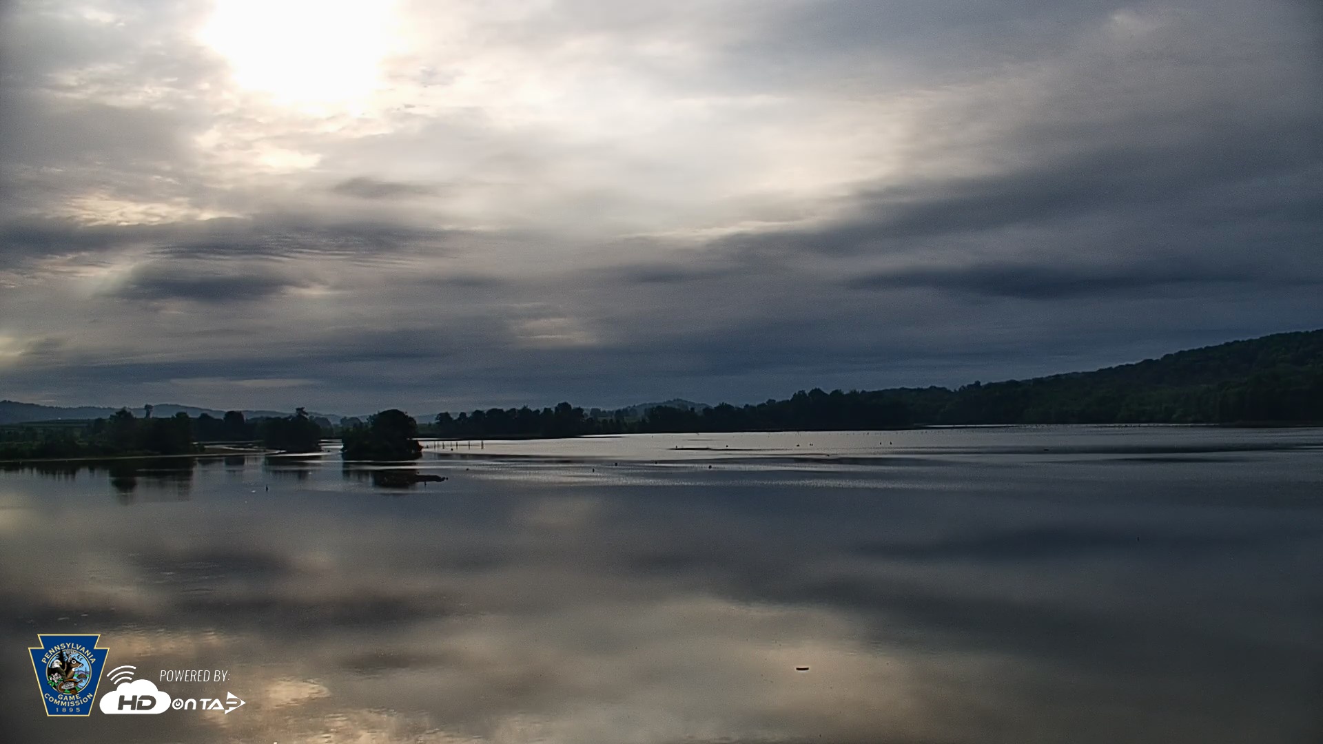 Snapshot of Pennsylvania Snow Geese Live Webcam taken Aug 5, 2026, 7:40am EDT