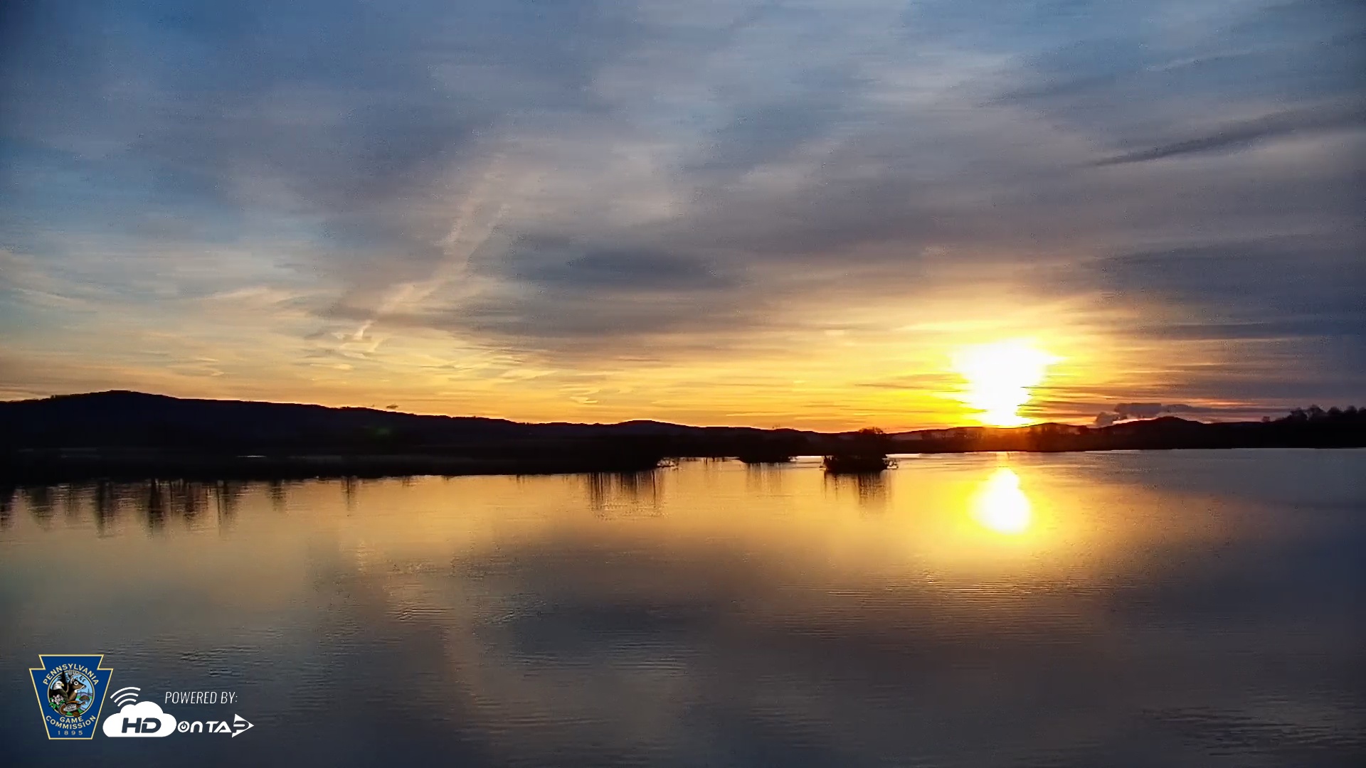 Snapshot of Pennsylvania Snow Geese Live Webcam taken Mar 18, 2026, 7:22am EDT