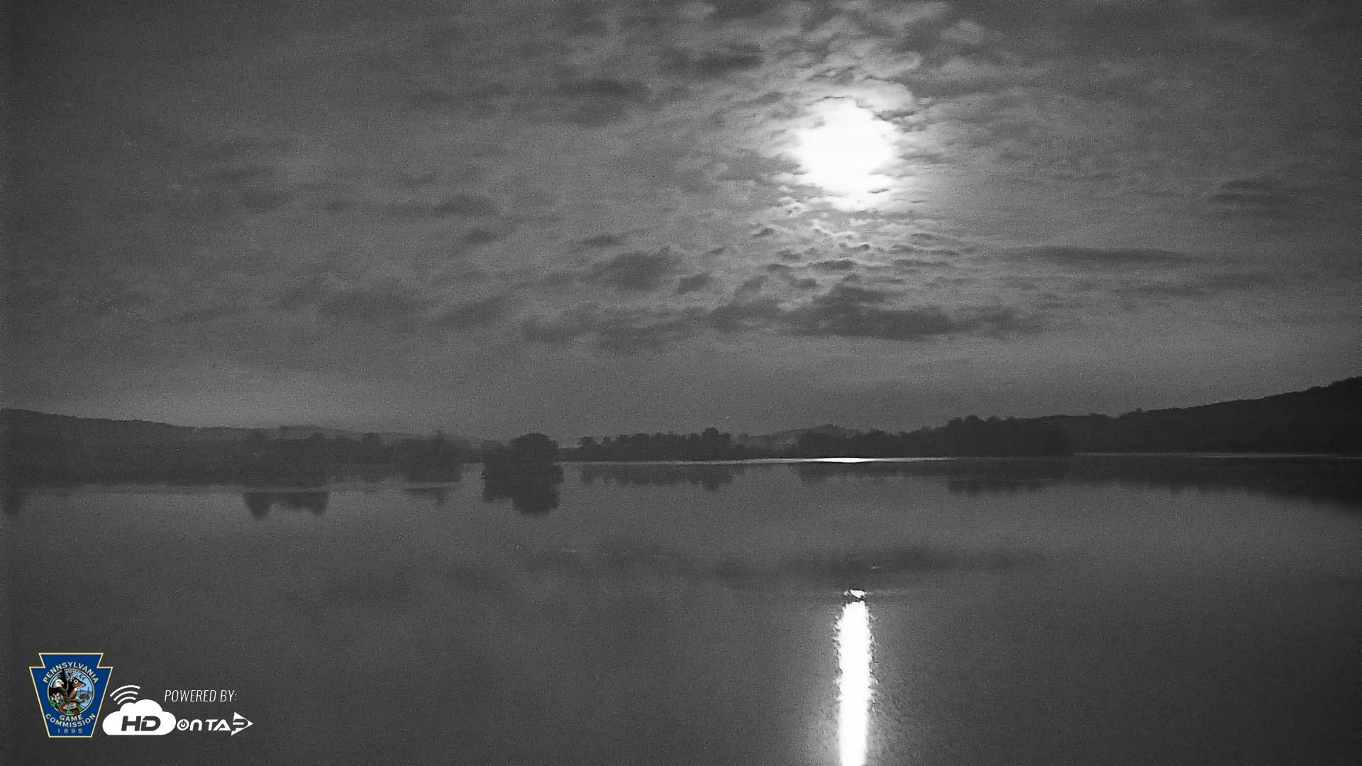 Snapshot of Pennsylvania Snow Geese Live Webcam taken Jul 16, 2025, 12:33am EDT