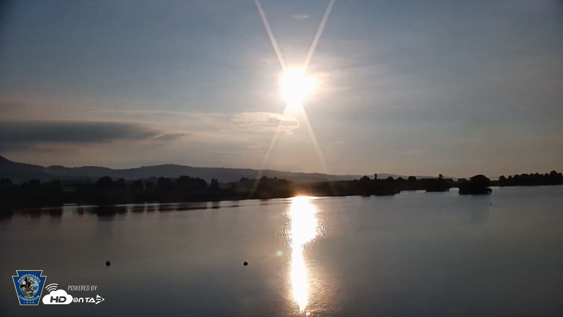 Snapshot of Pennsylvania Snow Geese Live Webcam taken Jun 12, 2026, 6:36am EDT