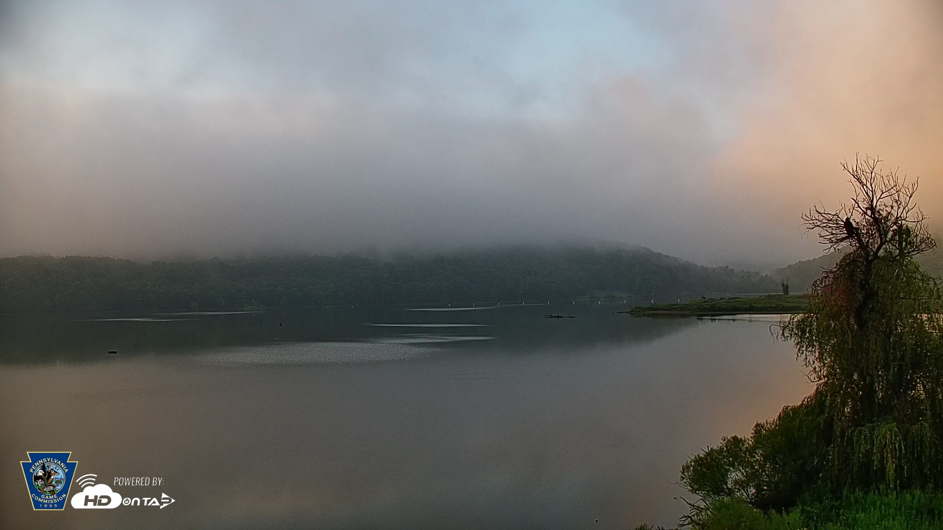 Snapshot of Pennsylvania Snow Geese Live Webcam taken Aug 6, 2026, 6:54am EDT