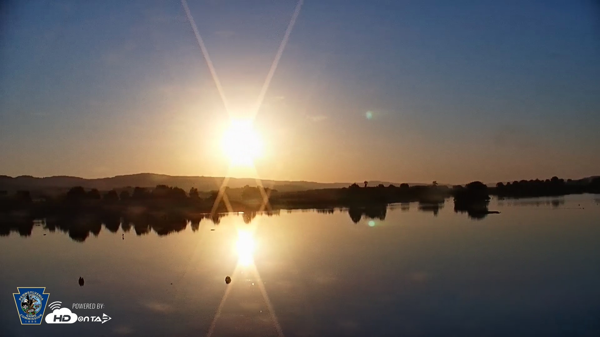 Snapshot of Pennsylvania Snow Geese Live Webcam taken Jul 3, 2026, 6:15am EDT