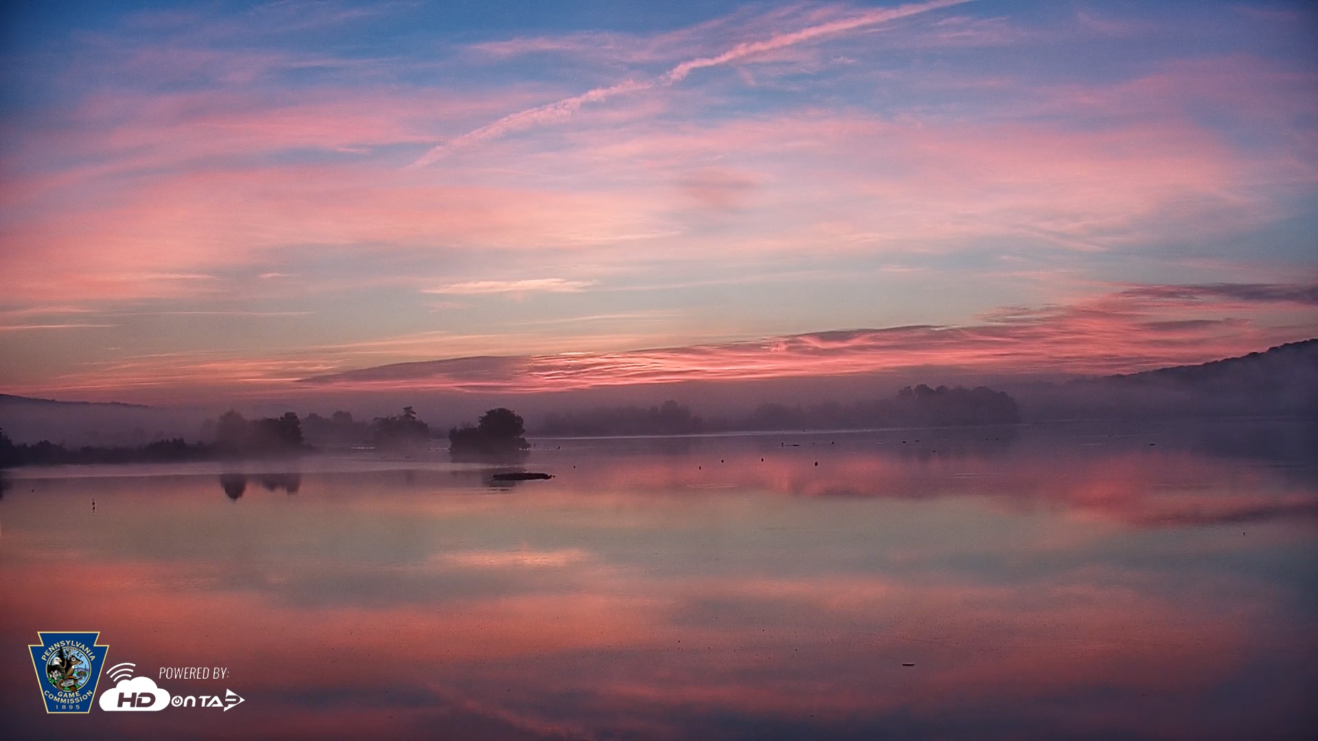 Snapshot of Pennsylvania Snow Geese Live Webcam taken Oct 2, 2026, 6:47am EDT