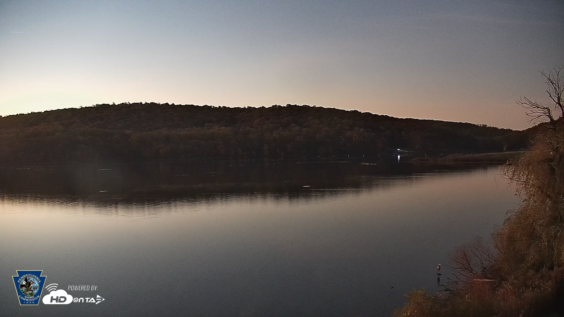 Snapshot of Pennsylvania Snow Geese Live Webcam taken Oct 31, 2026, 7:02am EDT