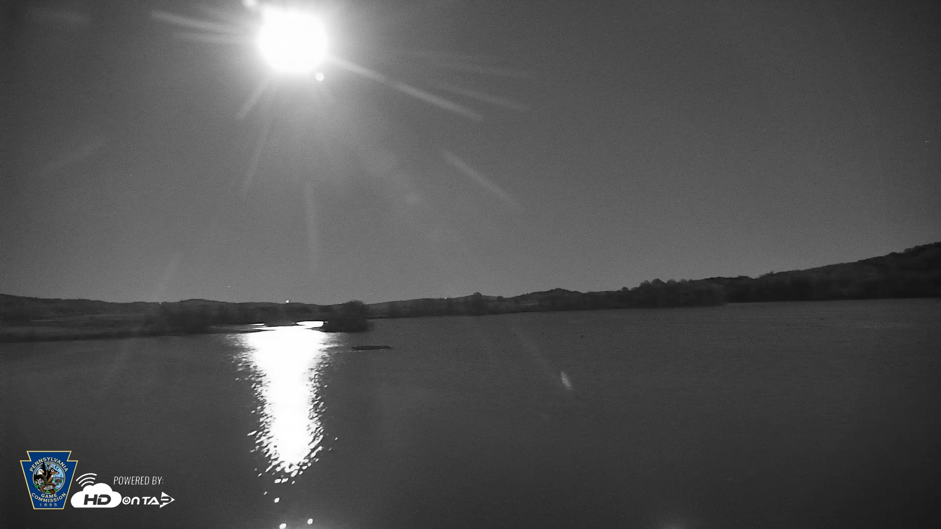 Snapshot of Pennsylvania Snow Geese Live Webcam taken Nov 4, 2025, 5:46pm EST