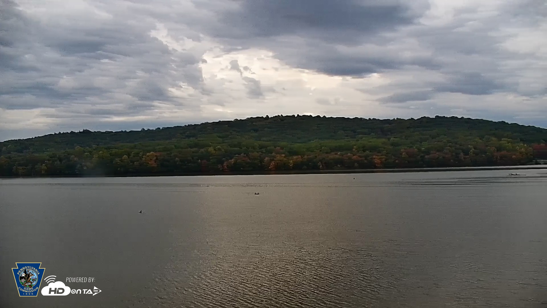 Snapshot of Pennsylvania Snow Geese Live Webcam taken Oct 14, 2026, 11:39am EDT