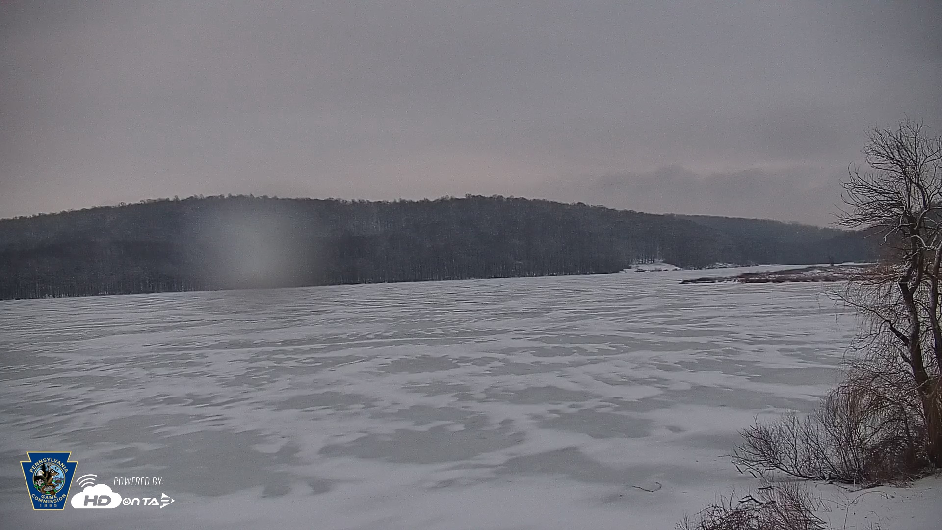 Snapshot of Pennsylvania Snow Geese Live Webcam taken Feb 16, 2026, 6:36am EST