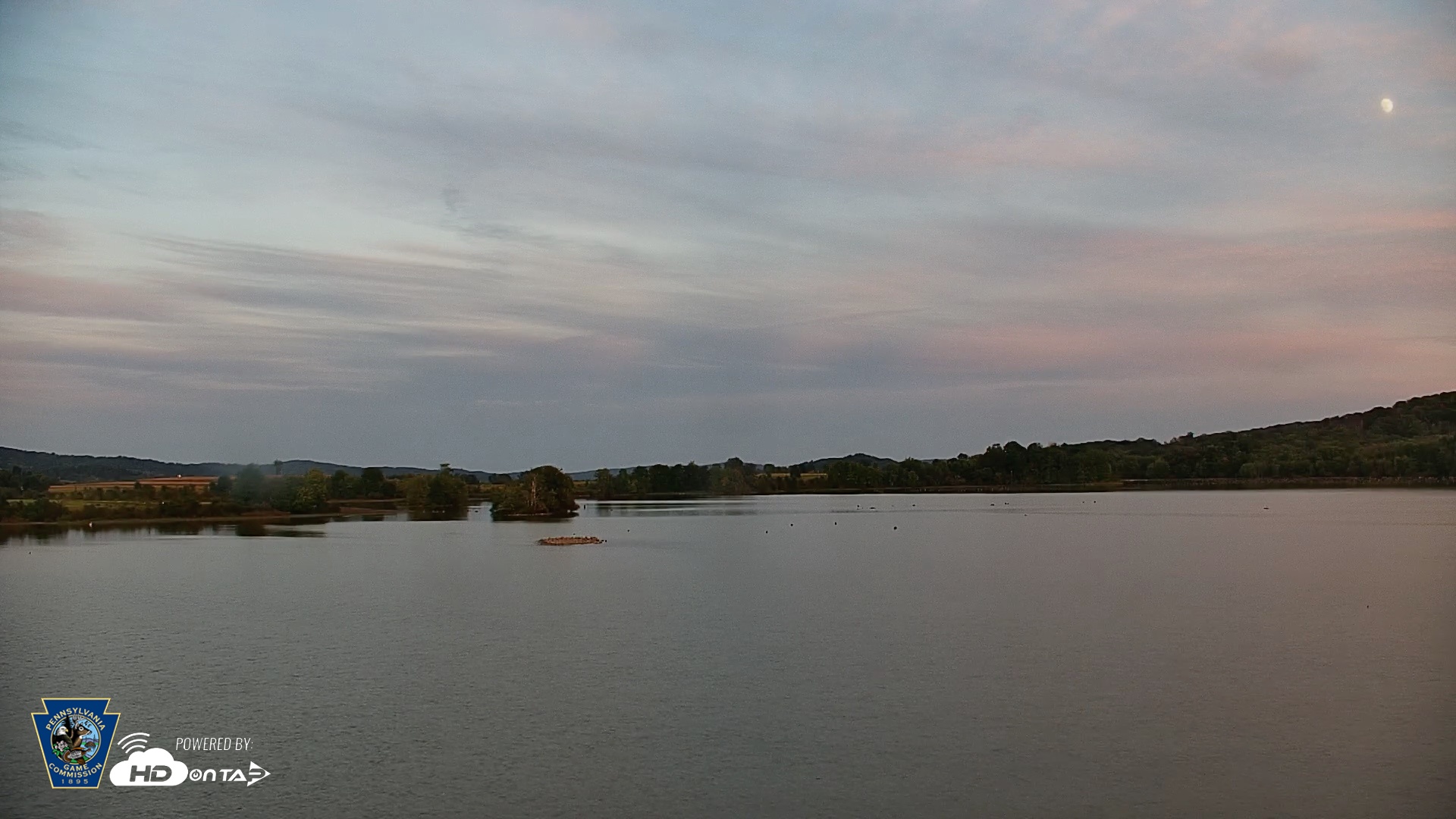 Snapshot of Pennsylvania Snow Geese Live Webcam taken Sep 23, 2026, 7:01pm EDT