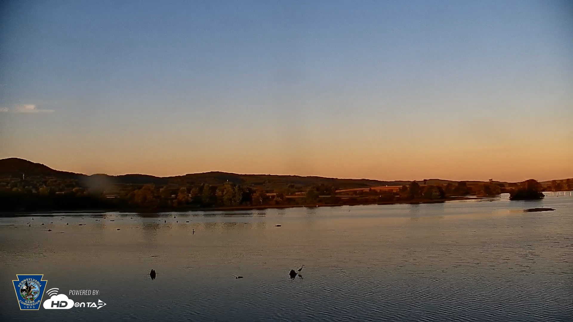 Snapshot of Pennsylvania Snow Geese Live Webcam taken Sep 15, 2026, 6:56pm EDT