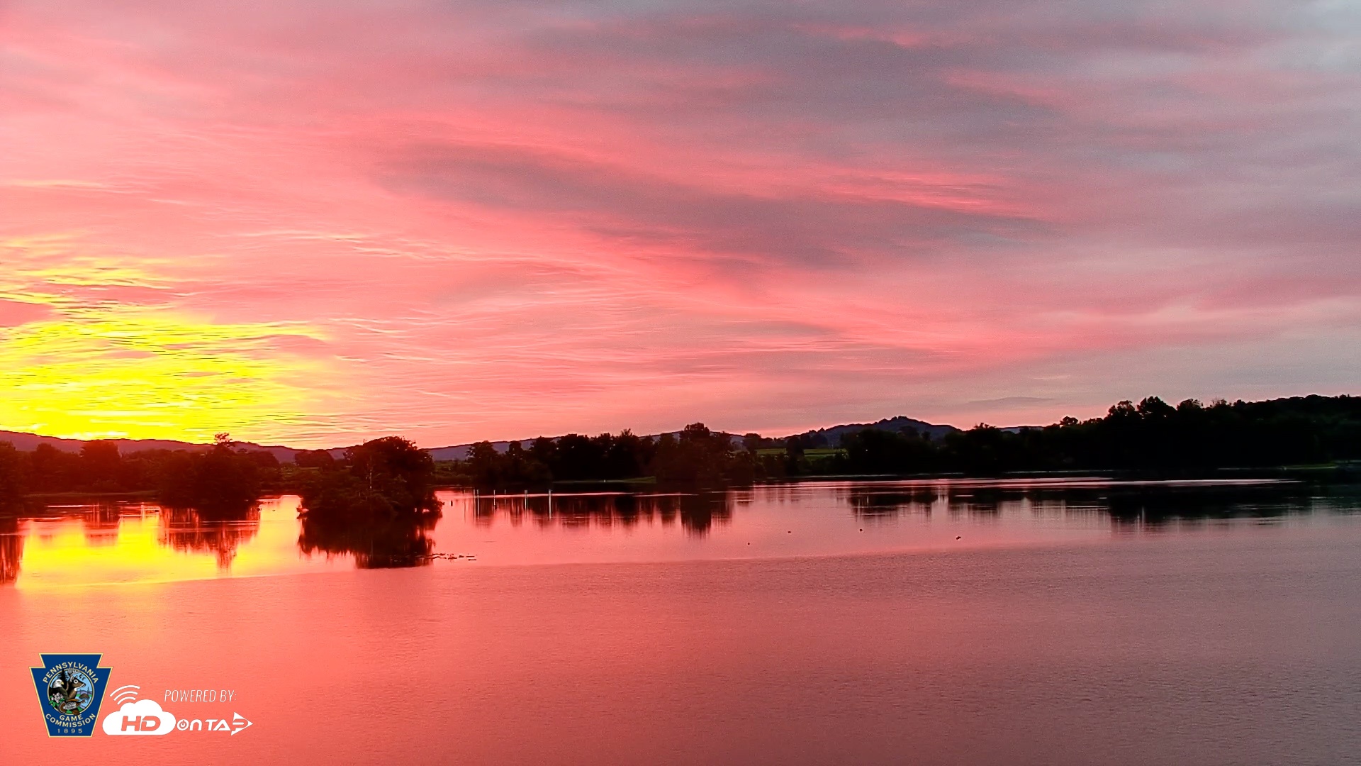 Snapshot of Pennsylvania Snow Geese Live Webcam taken Sep 5, 2026, 6:33am EDT