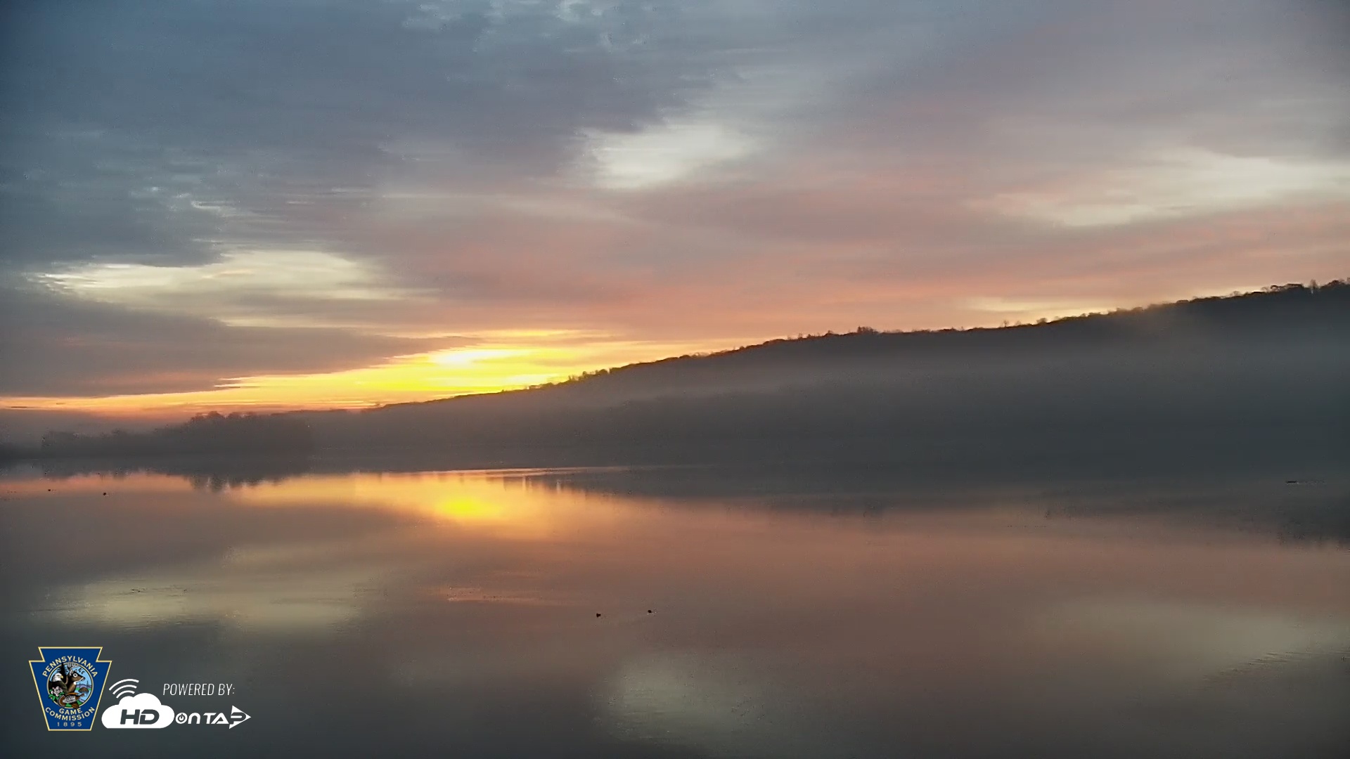 Snapshot of Pennsylvania Snow Geese Live Webcam taken Nov 20, 2025, 6:55am EST