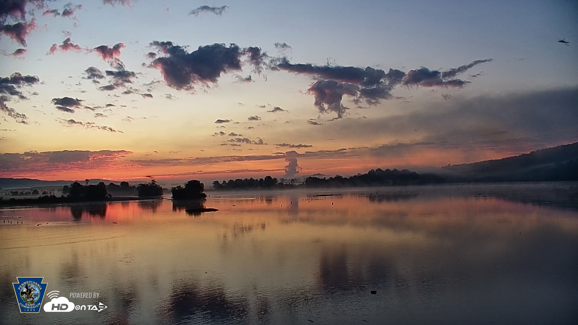 Snapshot of Pennsylvania Snow Geese Live Webcam taken Sep 3, 2025, 6:31am EDT