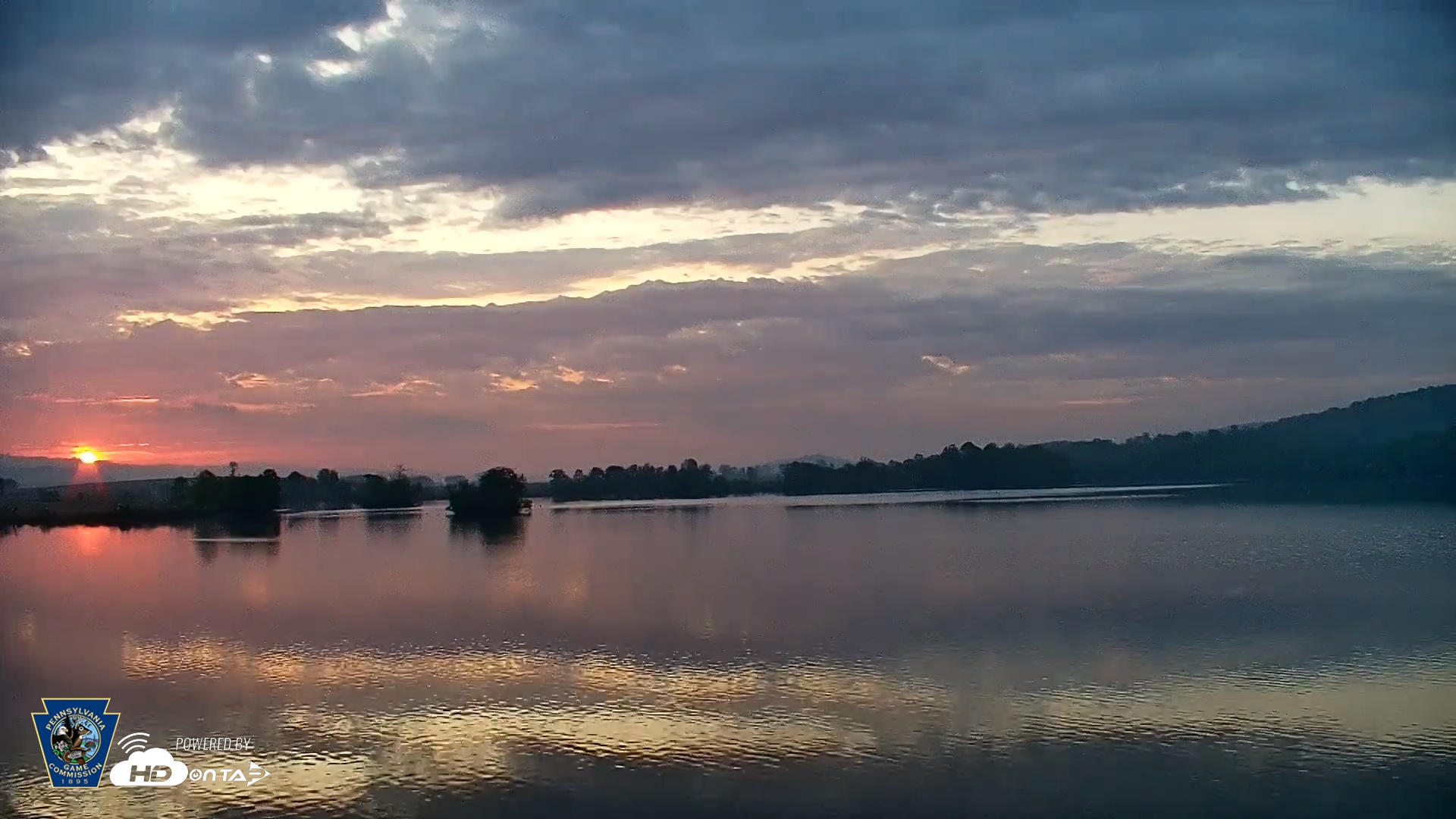 Snapshot of Pennsylvania Snow Geese Live Webcam taken May 2, 2025, 6:12am EDT