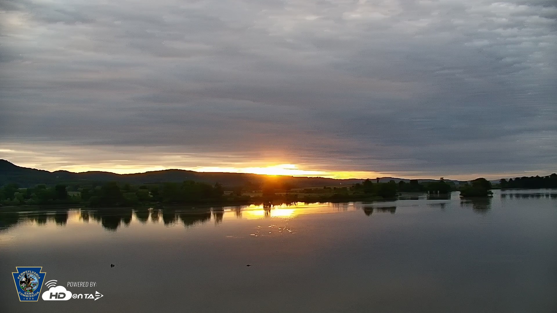 Snapshot of Pennsylvania Snow Geese Live Webcam taken May 22, 2026, 6:01am EDT