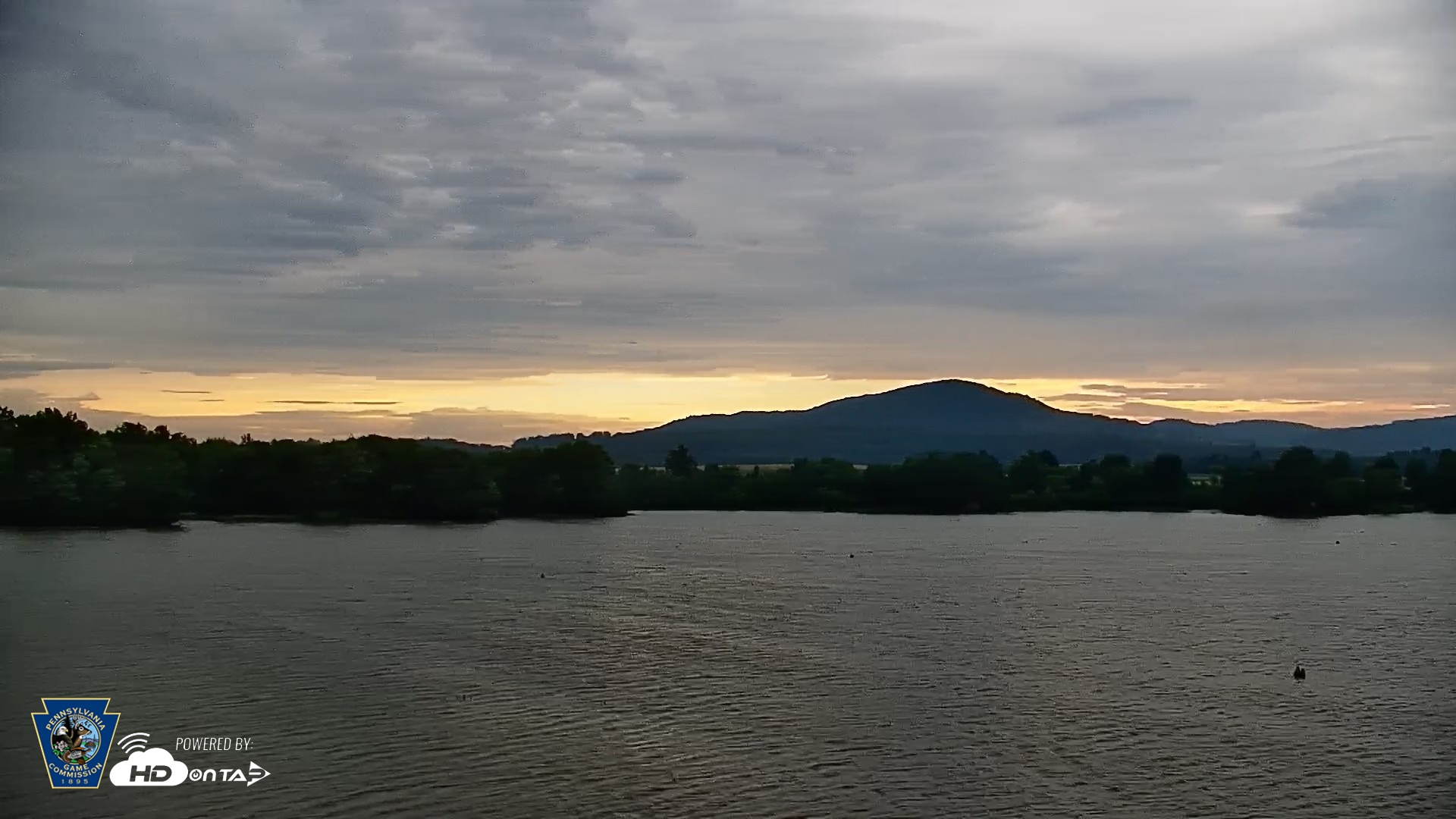 Snapshot of Pennsylvania Snow Geese Live Webcam taken Jun 18, 2026, 6:28am EDT