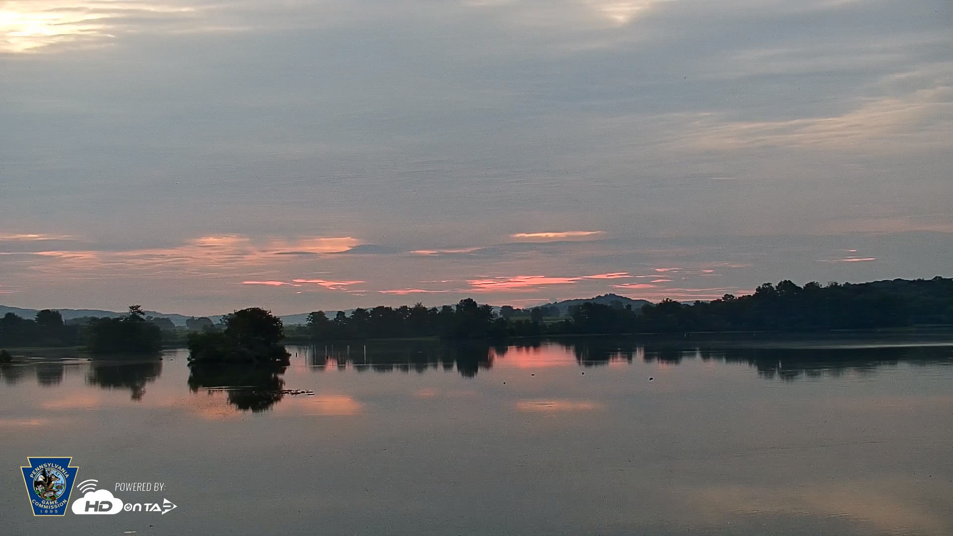 Snapshot of Pennsylvania Snow Geese Live Webcam taken Aug 31, 2026, 6:16am EDT