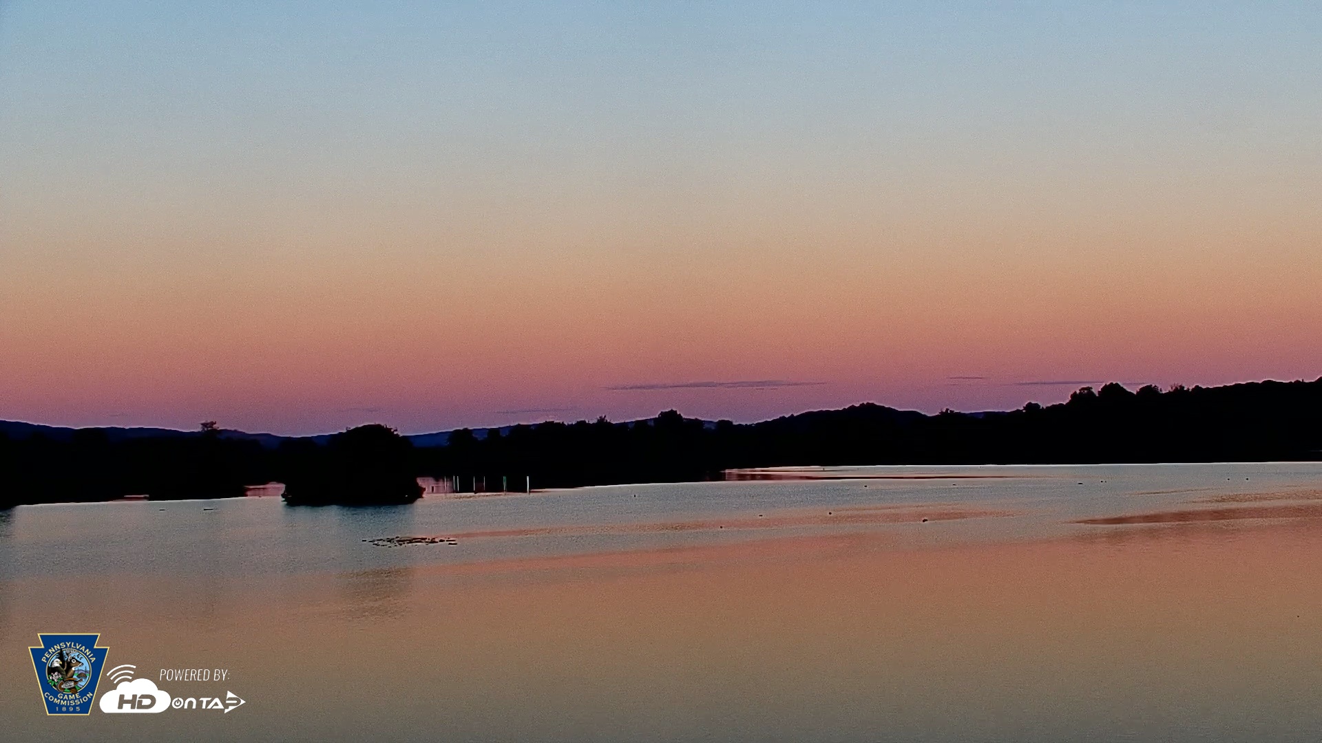 Snapshot of Pennsylvania Snow Geese Live Webcam taken Sep 5, 2026, 7:26pm EDT
