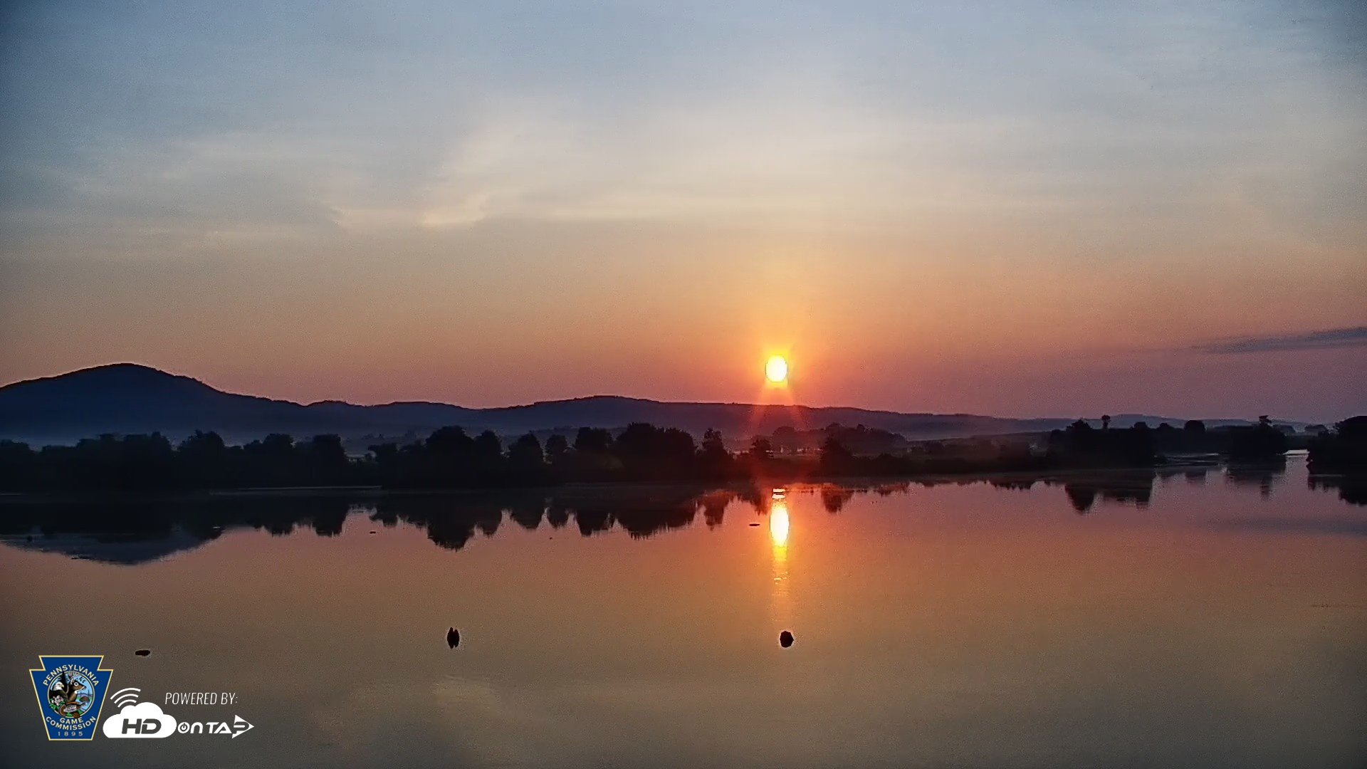 Snapshot of Pennsylvania Snow Geese Live Webcam taken Jun 30, 2026, 6:02am EDT