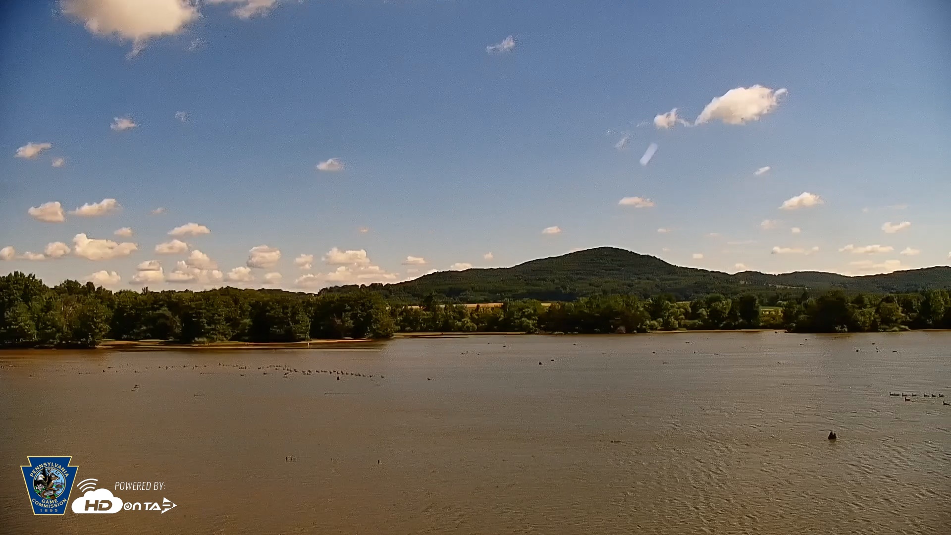 Snapshot of Pennsylvania Snow Geese Live Webcam taken Jun 21, 2026, 10:25am EDT