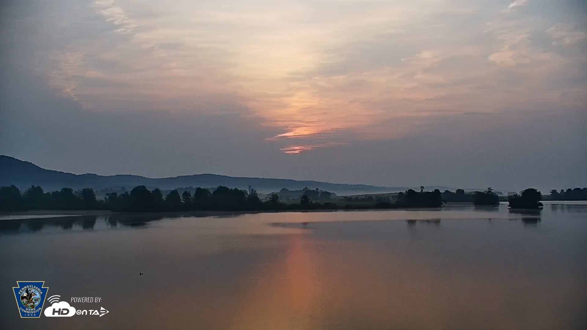 Snapshot of Pennsylvania Snow Geese Live Webcam taken Jun 6, 2025, 6:05am EDT