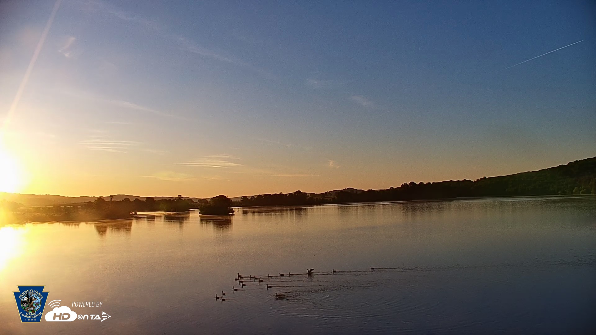 Snapshot of Pennsylvania Snow Geese Live Webcam taken May 31, 2026, 6:02am EDT